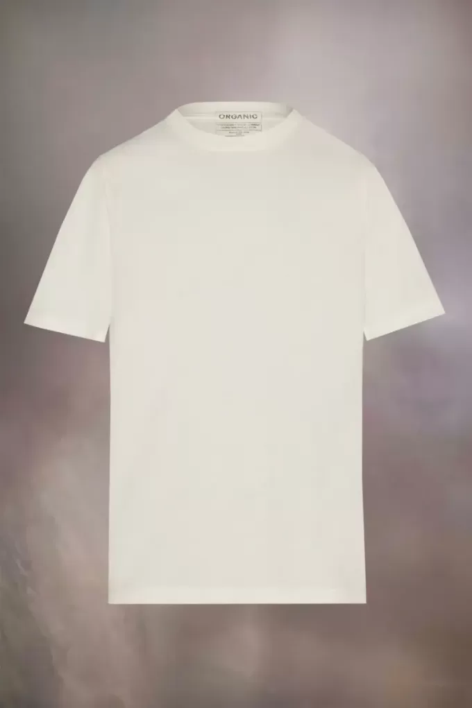 3-pack organic jersey T-shirts
